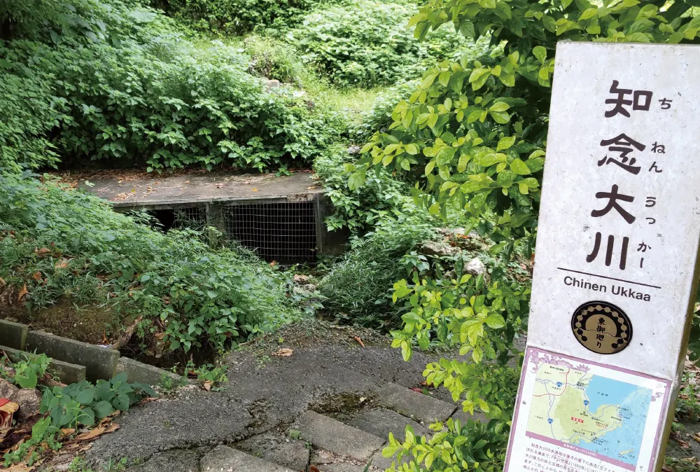 知念大川