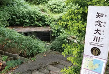 知念大川